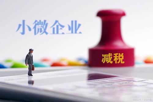 至年底，山東免除個(gè)體工商戶(hù)和小微企業(yè)免一切稅費